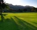 palm-hills-02