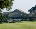 palm-hills-04