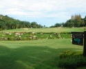 palm-hills-09