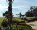 sea-pine-golf-course-001