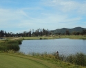 sea-pine-golf-course-002