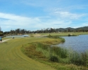 sea-pine-golf-course-003