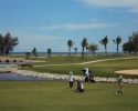 sea-pine-golf-course-008